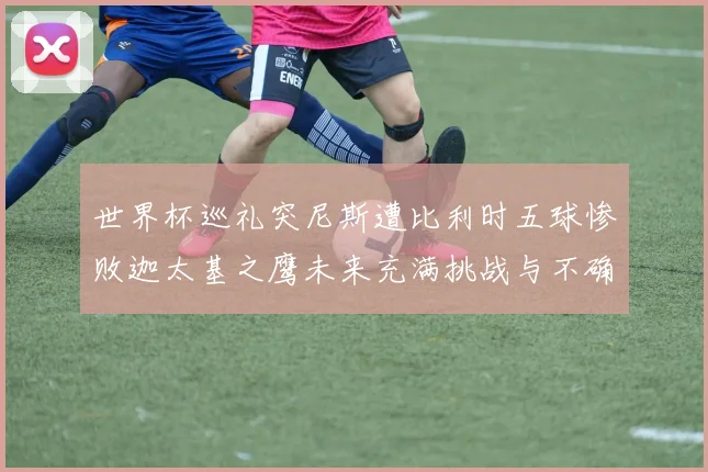 世界杯巡礼突尼斯遭比利时五球惨败迦太基之鹰未来充满挑战与不确定性