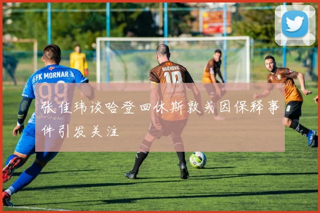 张佳玮谈哈登回休斯敦或因保释事件引发关注