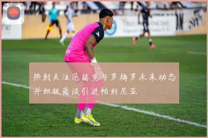 热刺关注范赫克与罗梅罗未来动态并积极商谈引进帕利尼亚